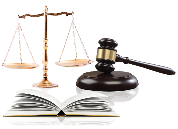 LÁI XE THỰC CHIẾN Mr KÍNH