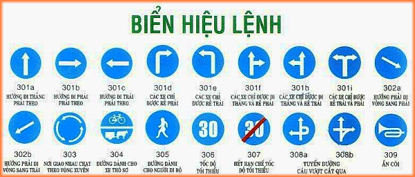 bien-hieu-lenh-tunganh-auto