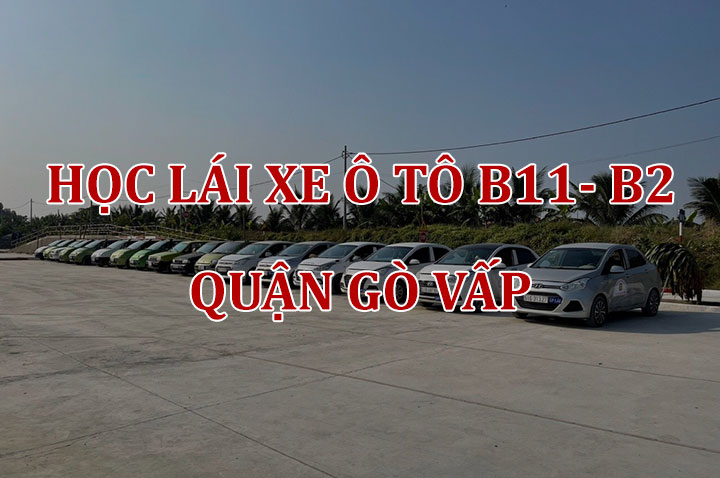 Học Lái Xe Ô Tô Nguyễn Văn Lượng Gò Vấp